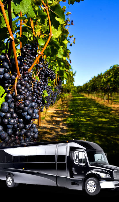 bay area wine tours