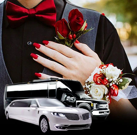 bay area limousine service